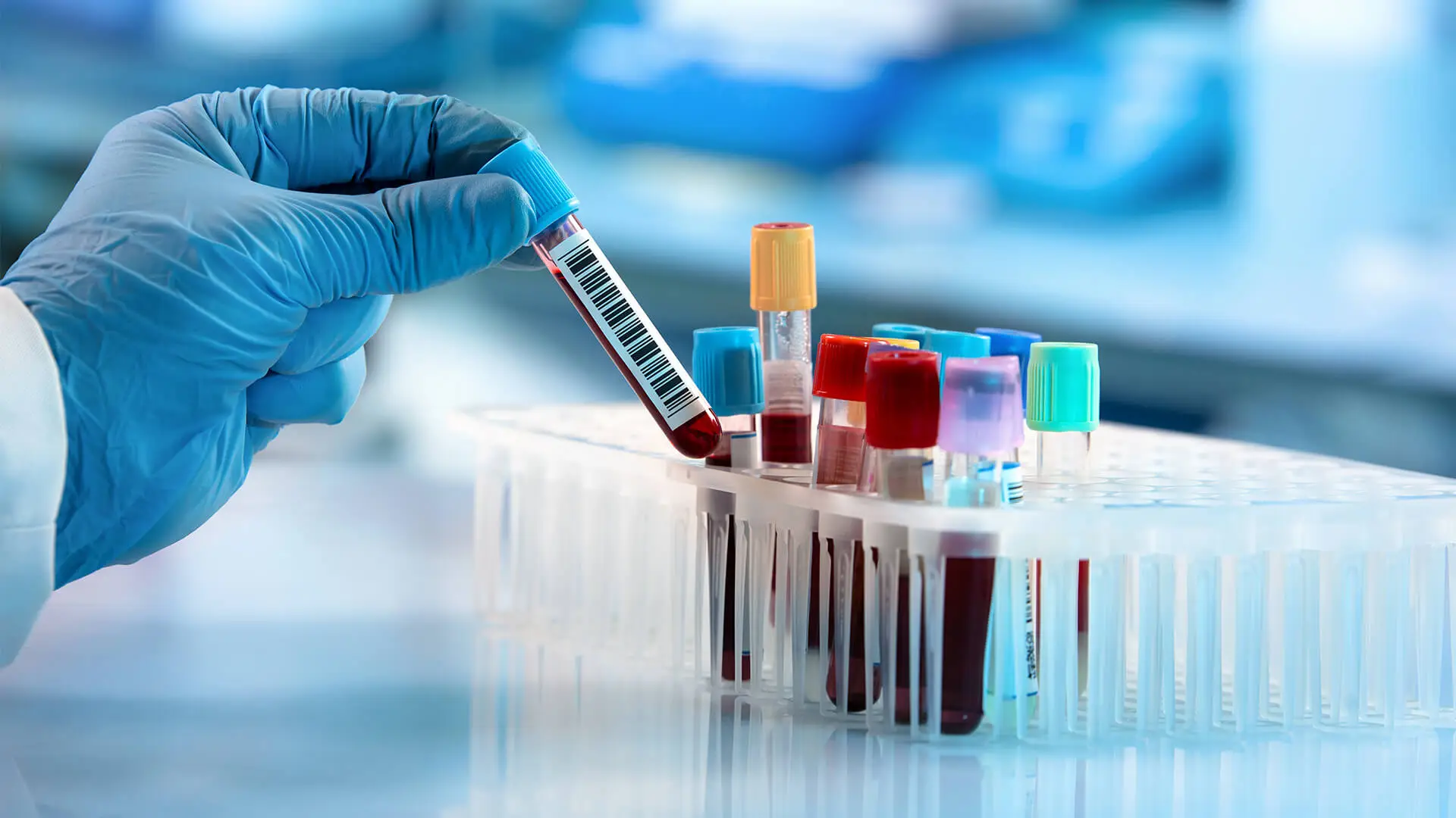 Nutritec Symptom Survey Bloodwork Evaluation